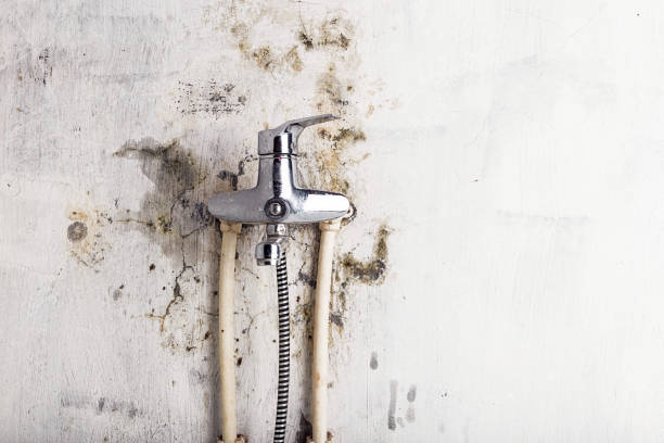 Mold Removal Process in Bellmawr, NJ