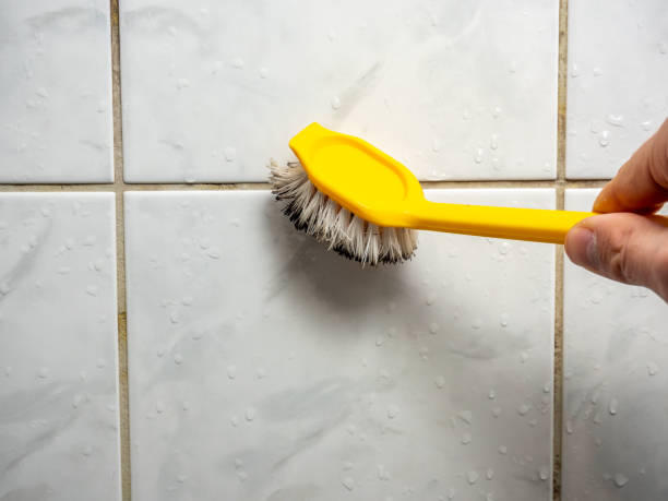 Best Mold Testing and Removal  in Bellmawr, NJ