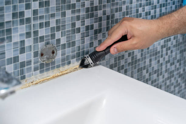 Best Emergency Mold Removal  in Bellmawr, NJ