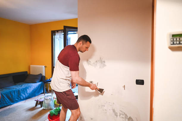 Best Office Mold Removal Services  in Bellmawr, NJ